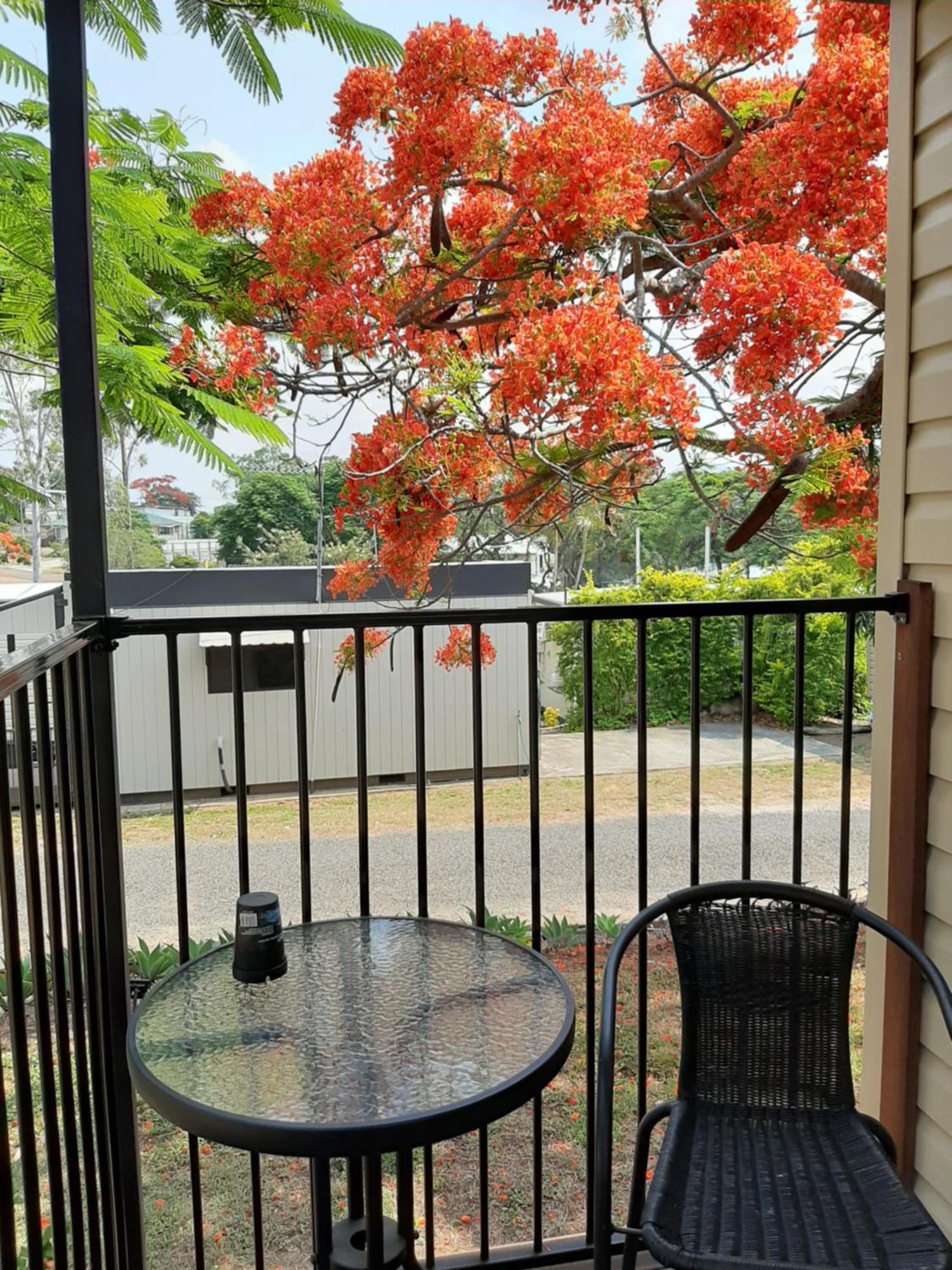 Mt Larcom Tourist Park Hotel Mount Larcom Ngoại thất bức ảnh